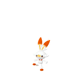 Scorbunny
